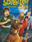 Scooby Doo 3 Gizem Başlıyor