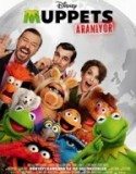 Muppets Aranıyor